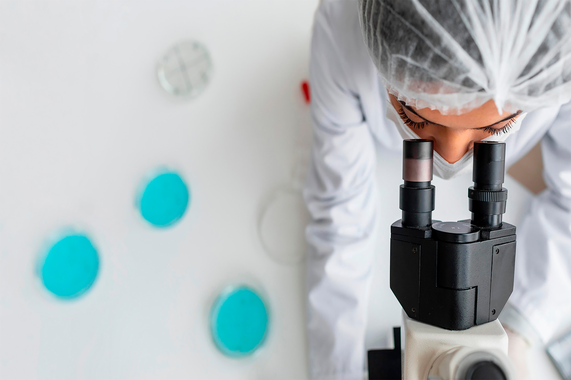 software gestion para servicios investigación